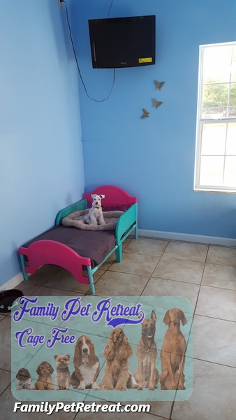Family Pet Retreat Cage Free Rooms