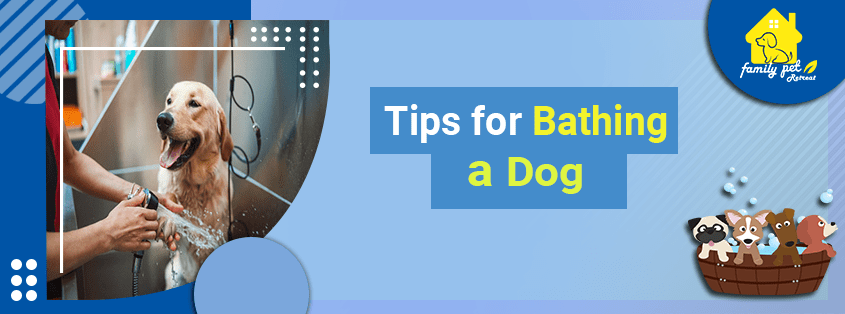 Tips for Bathing a Dog- Family Pet Retreat