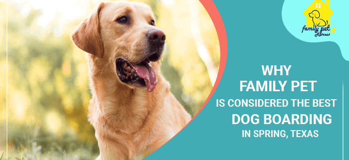 Why Family Pet Is Considered The Best Dog Boarding In Spring, Texas