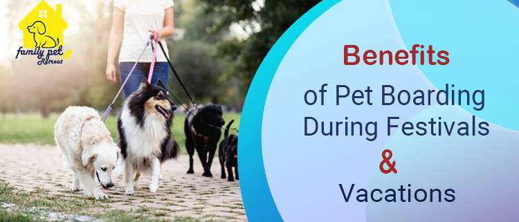Benefits of Pet Boarding During Festivals & Vacations