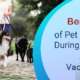 Benefits of Pet Boarding During Festivals & Vacations