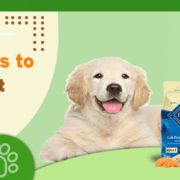 Instructions to Choose Best Food for Dogs - Family Pet Retreat