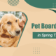 Pet Boarding In Spring Texas