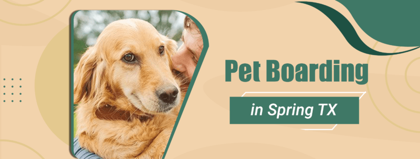 Pet Boarding In Spring Texas