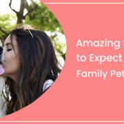 Amazing Services to Expect at Family Pet Boarding