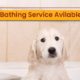 Dog Bathing Service Avilable- Family Pet Retreat