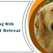 Benefits Of Dog Boarding with Family Pet Retreat