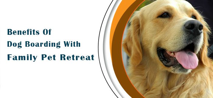 Benefits Of Dog Boarding with Family Pet Retreat