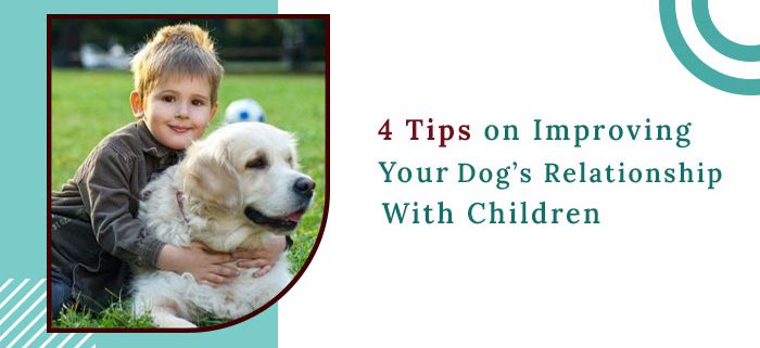 Tips On Improving Your Dogs Relationship With Children