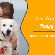 Are You A New Puppy Parent Here’s What You Need To Know