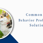 Common Dog Behavior Problem And solution