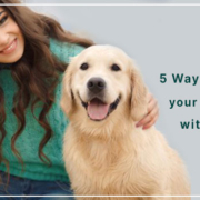 Five Ways to Improve your Relationship with your Dog