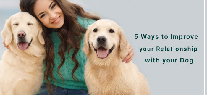 Five Ways to Improve your Relationship with your Dog