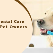 Doggie Dental Care tips for pet owners