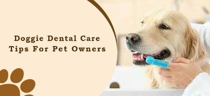 Doggie Dental Care tips for pet owners