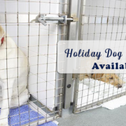 holiday dog boarding avialbe family pet retreat llc