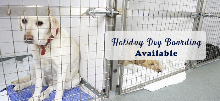 holiday dog boarding avialbe family pet retreat llc