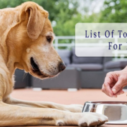 list of toxic foods for dogs