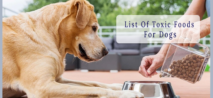 list of toxic foods for dogs