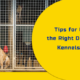 Tips for choosing the right boarding facility of your pet