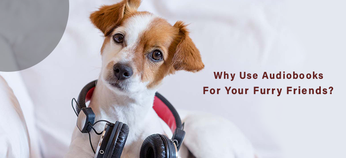 why use audiobooks for your furry friends 1