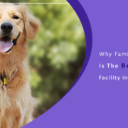 Why Is Family Pet Retreat is The Best Pet Boarding Facility in Spring Texas