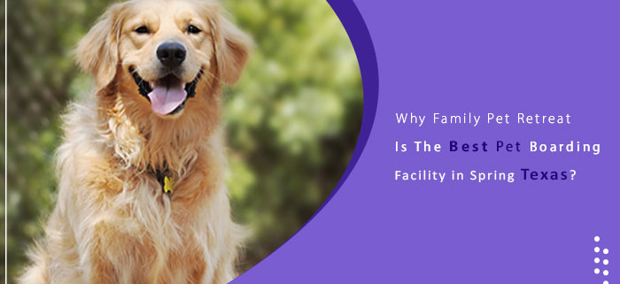 Why Is Family Pet Retreat is The Best Pet Boarding Facility in Spring Texas