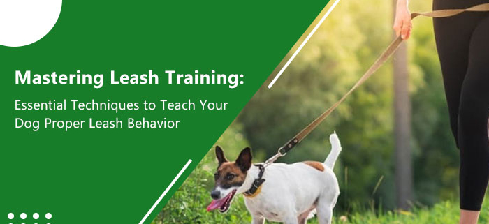 Mastering leash training - Family pet Retreat
